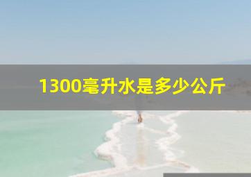 1300毫升水是多少公斤