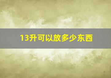 13升可以放多少东西