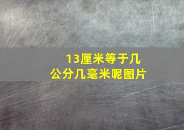 13厘米等于几公分几毫米呢图片