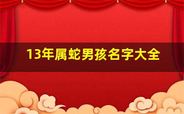 13年属蛇男孩名字大全