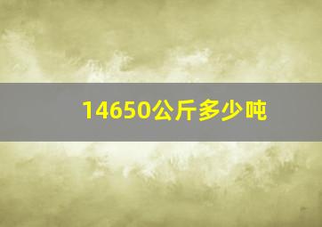 14650公斤多少吨