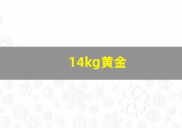 14kg黄金