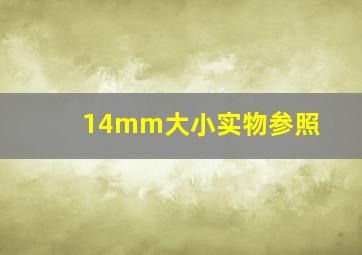 14mm大小实物参照