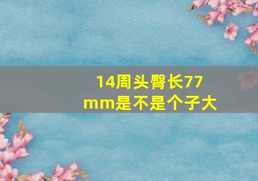 14周头臀长77mm是不是个子大