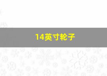 14英寸轮子