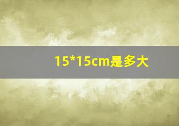 15*15cm是多大