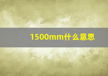 1500mm什么意思