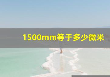 1500mm等于多少微米