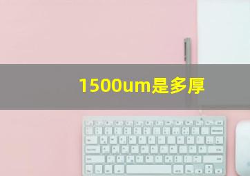 1500um是多厚