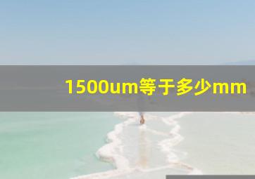 1500um等于多少mm