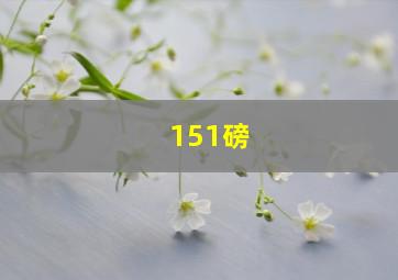 151磅