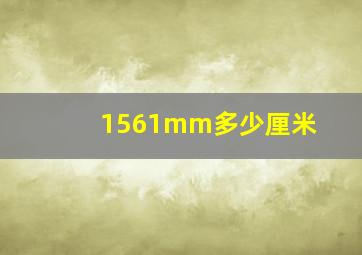 1561mm多少厘米