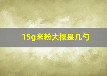 15g米粉大概是几勺