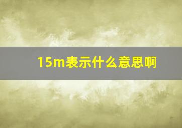 15m表示什么意思啊