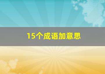 15个成语加意思