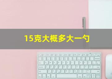 15克大概多大一勺