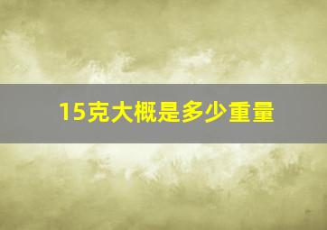 15克大概是多少重量