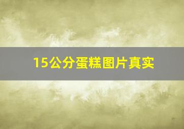 15公分蛋糕图片真实