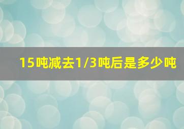 15吨减去1/3吨后是多少吨