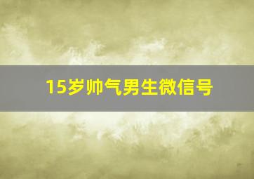 15岁帅气男生微信号