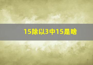 15除以3中15是啥