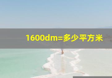 1600dm=多少平方米