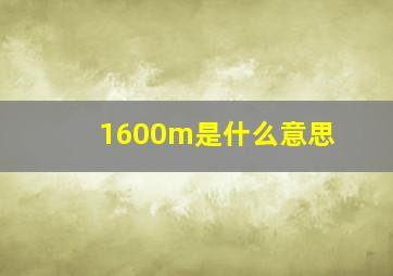 1600m是什么意思