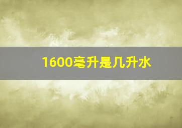 1600毫升是几升水