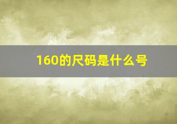 160的尺码是什么号