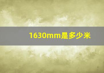 1630mm是多少米