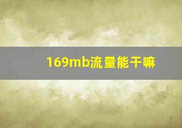 169mb流量能干嘛