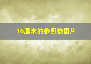 16厘米的参照物图片