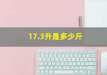 17.3升是多少斤