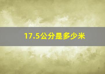 17.5公分是多少米