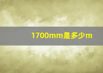 1700mm是多少m