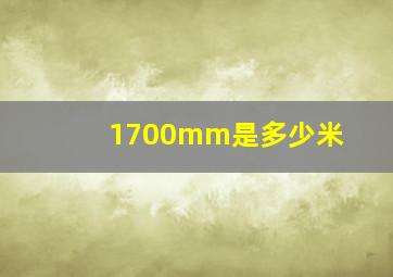 1700mm是多少米