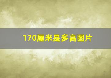 170厘米是多高图片