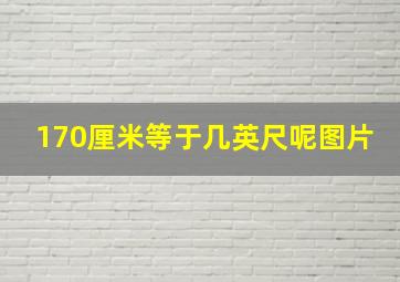 170厘米等于几英尺呢图片