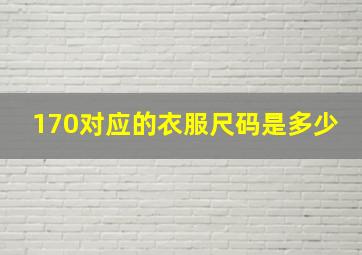 170对应的衣服尺码是多少