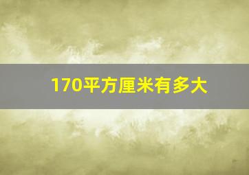 170平方厘米有多大