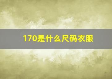 170是什么尺码衣服