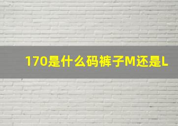 170是什么码裤子M还是L