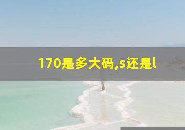 170是多大码,s还是l