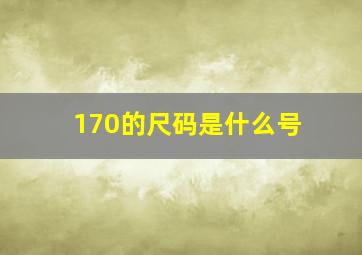 170的尺码是什么号