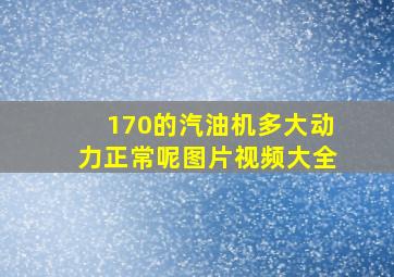 170的汽油机多大动力正常呢图片视频大全