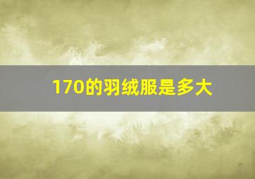 170的羽绒服是多大