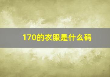 170的衣服是什么码