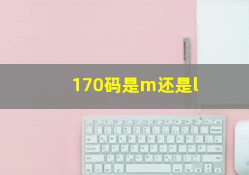 170码是m还是l