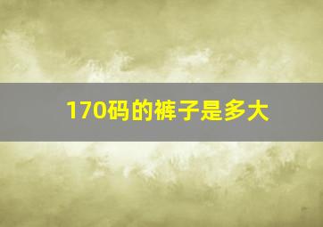 170码的裤子是多大