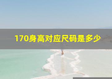 170身高对应尺码是多少